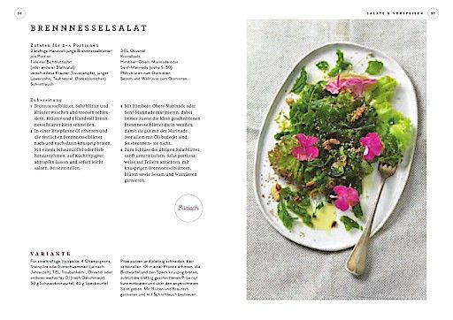 Vorschau Bild von Rezept aus dem Kochbuch zur Stärkung des Immunsystem: Brennnesselsalat