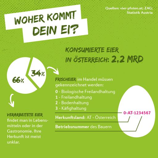 Grafik "Woher kommt dein Ei?"