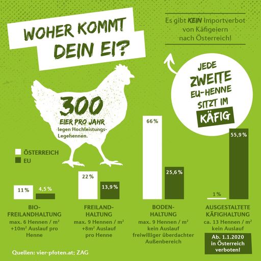 Vorschau Bild von Grafik 2 "Woher kommt dein Ei?"