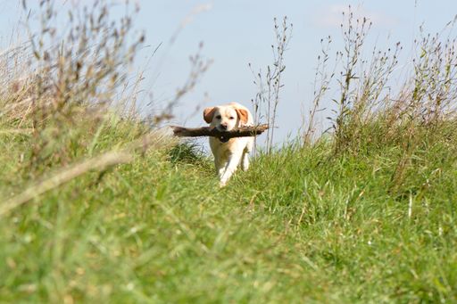 Vorschau Bild von Bewegung in jedem Alter