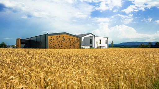 Vorschau Bild von Blick auf die neue Destillery der Familie Krauss in
St. Martin im Sulmtal.