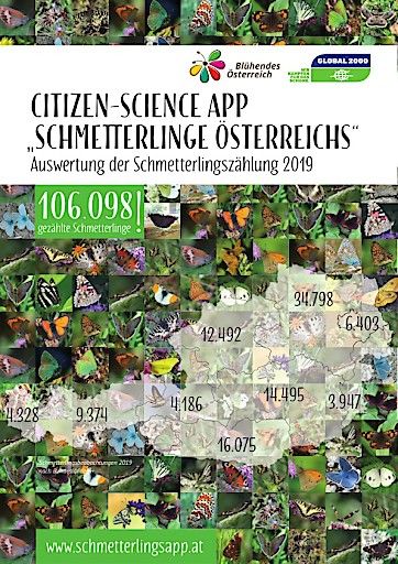 Vorschau Bild von Highlights der Schmetterlingszählung 2019 inkl. Bundesländerauswertung