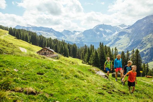Vorschau Bild von Familie wandert auf der Alm im Salzburger Land.
