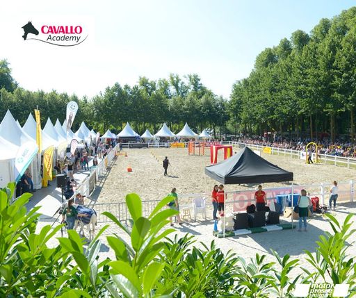 CAVALLO ACADEMY / Weiterer Text über ots und
www.presseportal.de/nr/22036 / Die Verwendung dieses Bildes ist für
redaktionelle Zwecke honorarfrei. Veröffentlichung bitte unter
Quellenangabe: "obs/Motor Presse Stuttgart/Lisa Rädlein"