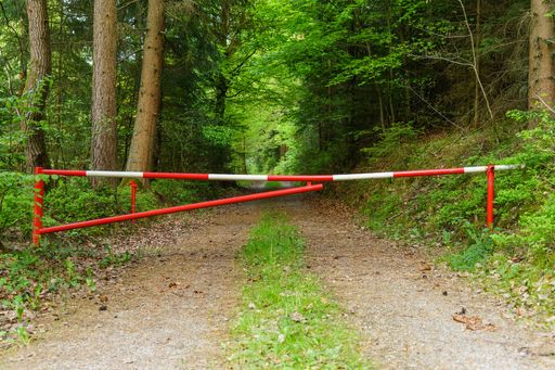 Revierzugang für Jagdpächter aus Nachbarstaaten
wieder ermöglicht