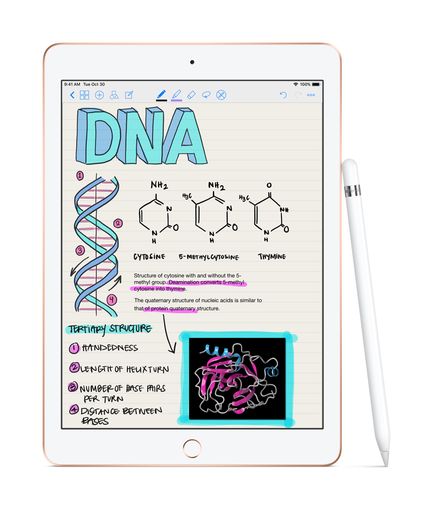  iPad mit Apple Pencil zum digitalen Lernen
