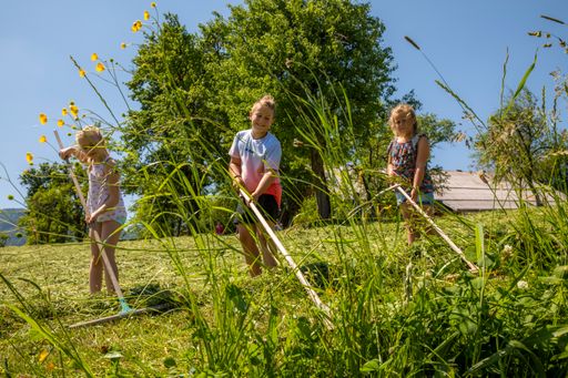 Vorschau Bild von Nachhaltige Entschleunigung und individuelle
Erlebnisse für große und kleine Gäste garantiert ein Urlaub am
Bauernhof in Österreich.
