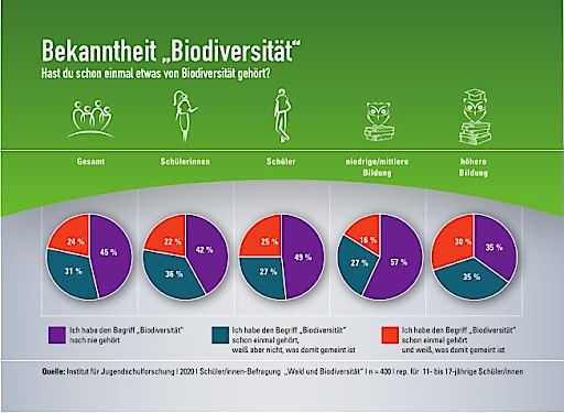 Vorschau Bild von Bekanntheit zur Biodiversität
