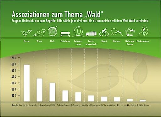 Vorschau Bild von Assoziationen zum Thema Wald