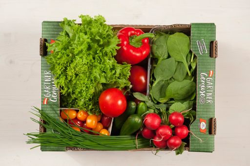 Vorschau Bild von GEMÜSE-SALAT-KISTL