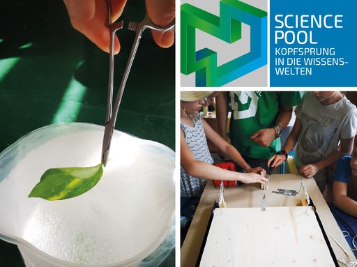 Vorschau Bild von Science Pool_Summer Science 2020