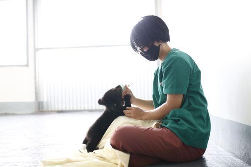 Vorschau Bild von Beim Füttern ist Bärenbaby Mochi immer sehr eifrig