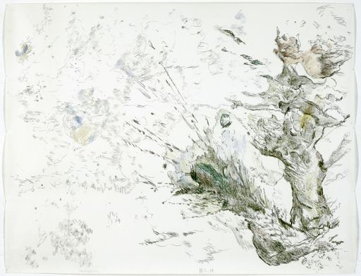 Vorschau Bild von Weiler, Max, Weidenstümpfe (1978), Kohle, Wachskreiden auf Papier