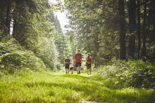  Die Sommerhitze in der Stadt kann Erwachsenen und
Kindern ganz schön zusetzen. Linderung verschafft am besten ein
Ausflug aufs Land. Vorzugsweise dorthin, wo Wälder für Erfrischung
sorgen und es noch dazu viel zu erleben gibt, zum Beispiel in die
Wiener Alpen