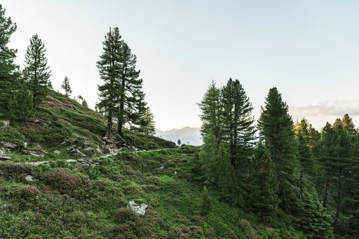  Die Wanderregion Hall-Wattens lädt zum Kraftorte
sammeln ein.