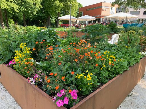 Der Gustav Klimt-Garten und das Gustav
Klimt-Zentrum am Attersee