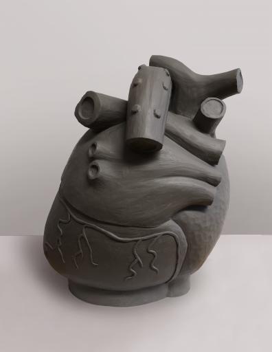  3D - Herz. Modell im Maßstab 1:10