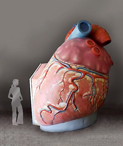 Vorschau Bild von 3D - Herz Rückseite Detailansicht