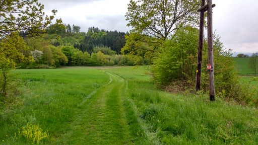  Sanfte Wanderwege im Mostviertel