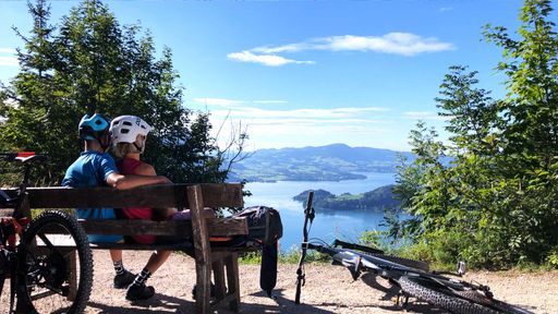  Typischer eMTB Gast in Österreichs Bergen.