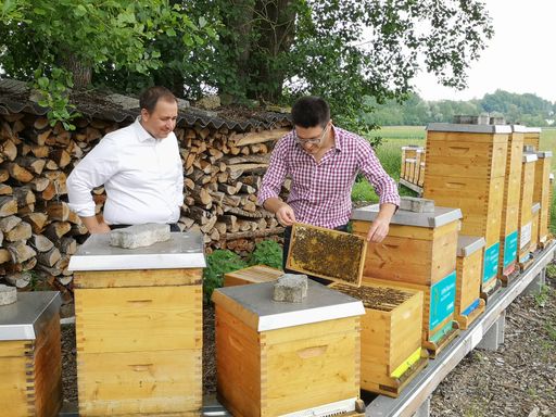 Vorschau Bild von Bio-Imker Michael Stiefmüller erklärt KWG
Geschäftsführer Peter J. Zehetner Wissenswertes über Bienen