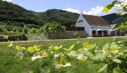 Vorschau Bild von Heurigenguide: Pulkers Heurigen (NÖ)