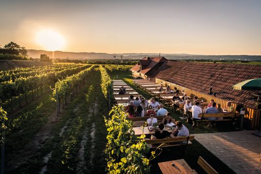 Vorschau Bild von Heurigenguide: Winzerhof Dockner (NÖ)