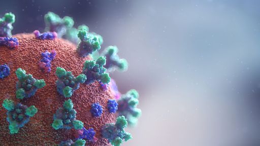 Coronavirus COVID-19 / Mikronährstoff-Kombination unterdrückt
Zell-"Einfallstor" für Coronavirus / Weiterer Text über ots und
www.presseportal.de/nr/146022 / Die Verwendung dieses Bildes ist für
redaktionelle Zwecke honorarfrei. Veröffentlichung bitte unter
Quellenangabe: "obs/Dr. Rath Education Services BV/Unsplash"