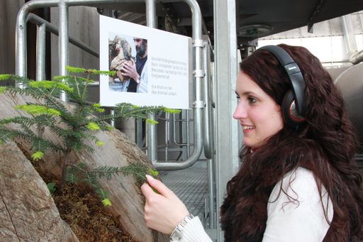 Vorschau Bild von HAKI - Hans Kirchmair aus einer Holzkugel wächst
ein neuer Baum....