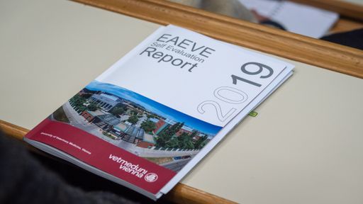 Bereits zum vierten Mal in Folge hat die
Veterinärmedizinische Universität Wien die EAEVE-Akkreditierung
erfolgreich durchlaufen.