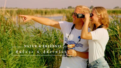 Sicher und komfortabel urlauben: Die Neusiedler See Card
ermöglicht unter Anderem die kostenlose Benützung des Öffentlichen
Verkehrs.