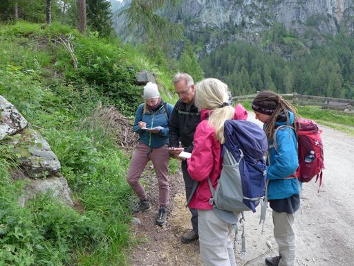 Vorschau Bild von Die Gruppe der Botaniker konnte alleine über 400 Gefäßpflanzen
dokumentieren.