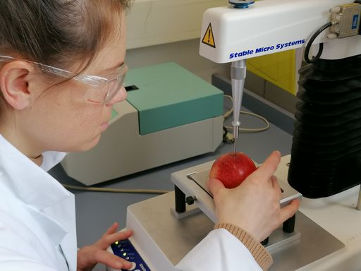 Spannende Forschungsergebnisse am MCI im Rahmen des
EU-Projekts AlpBioEco