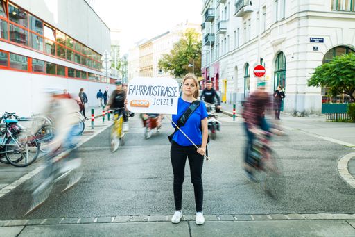 Vorschau Bild von Platz für Wien hat 30.000 Unterstützer