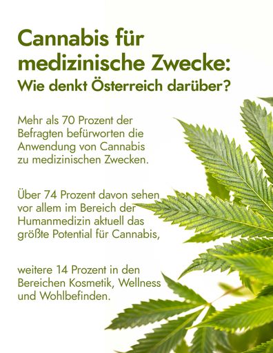 Bild zur Presseaussendung (Infografik)