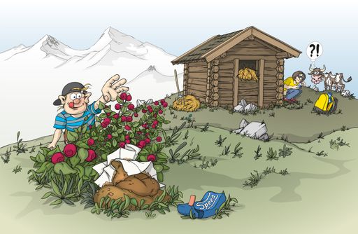 Alpenverein startet Kampagne rund um Toilettengang
am Berg
