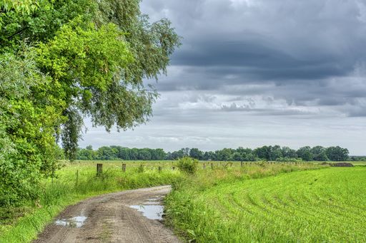 Laut Gebietsdefinition der EK ist diese Pfütze ein
Feuchtgebiet!