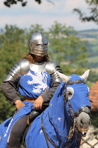 Vorschau Bild von Ritter in Rüstung hoch zu Pferde