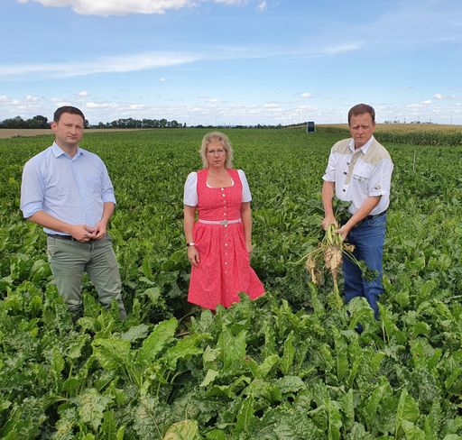 Vorschau Bild von Schulterschluss für den heimischen Zucker: NÖ Bauernbunddirektor
Paul Nemecek, Bezirksbäuerin Eveline Prager und
Bezirksbauernkammerobmann Manfred Zörnpfenning auf einem
Zuckerrübenfeld in Aderklaa.