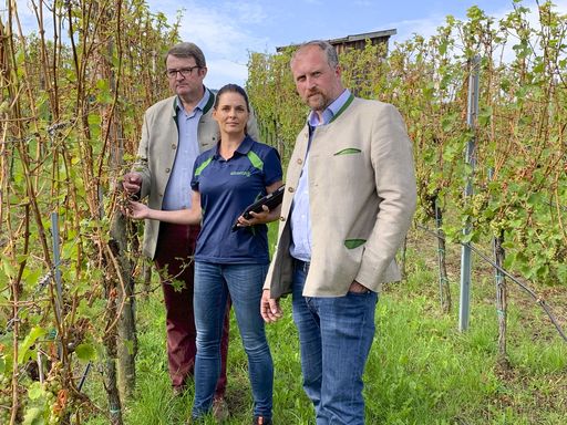 Ing. Josef Kaltenböck, ÖHV-Landesleiter NÖ-Ost; Heidi Maier,
ÖHV-Sachverständige; Johann Donabaum, Winzer und Obmann des
Weinbauvereins in Spitz beim Lokalaugenschein in der Wachau