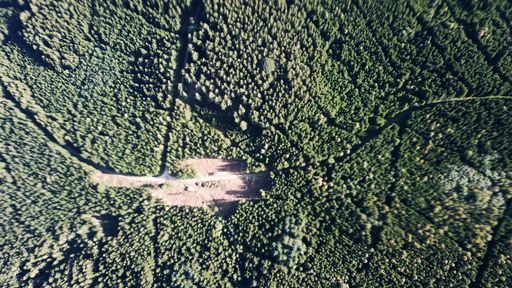 Vorschau Bild von DCIM\100MEDIA\DJI_0071.JPG Rodung für eine geplante
Windkraftanlage in Sallingberg- Konflikt mit Naturschutz wegen
nachgewiesenem Schwarzstorchbrutplatz