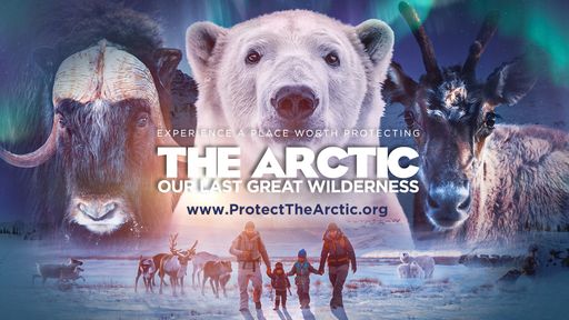 Poster zum Film "The Arctic: The Arctic: Our Last
Great Wilderness" von Terra Mater Factual Studios