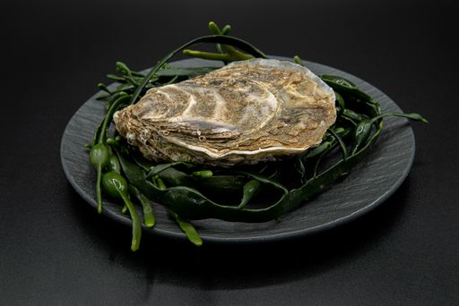 Vorschau Bild von Lebende Auster "Fine de Clair" von Fischlokal
Marktamt