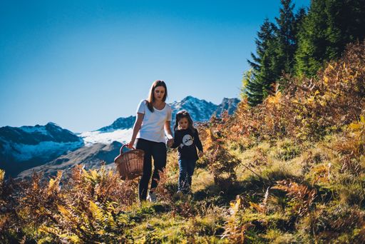 Vorschau Bild von Herbsturlaube auf Kärntens Almen laden zu Wanderungen ein