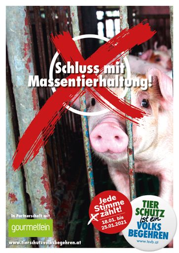 Kampagnensujets Hochformat