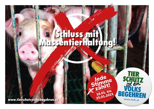 Vorschau Bild von Kampagnensujets Querformat