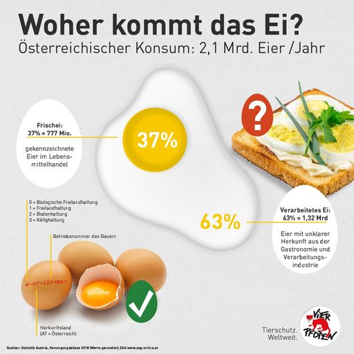Grafik zu konsumierten und verarbeiteten Eiern in Österreich