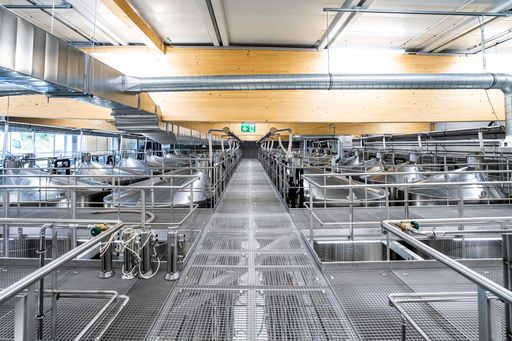 Vorschau Bild von Der neue lichtdurchflutete Keller in der Sandgrube
13