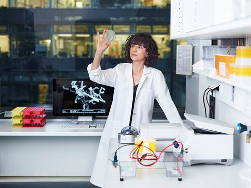 Emmanuelle Charpentier / Zwei Preisträgerinnen des Programms
L'oréal-Unesco For Women In Science ausgezeichnet / Weiterer Text
über ots und www.presseportal.de/nr/24390 / Die Verwendung dieses
Bildes ist für redaktionelle Zwecke honorarfrei. Veröffentlichung
bitte unter Quellenangabe: "obs/L'Oréal Deutschland GmbH"
