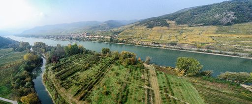 Projektgebiet Auenwildnis Wachau